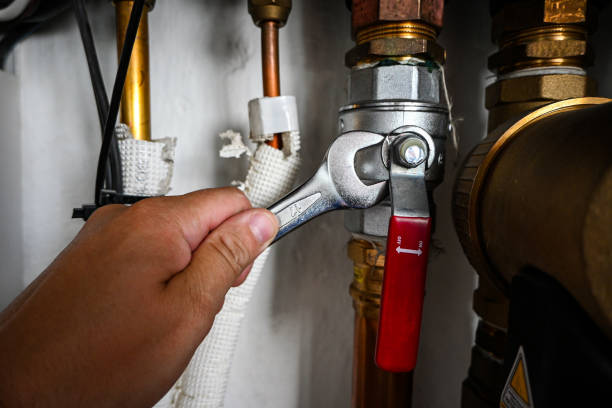 Best Clogged Drain Plumber  in Maple Heights, OH